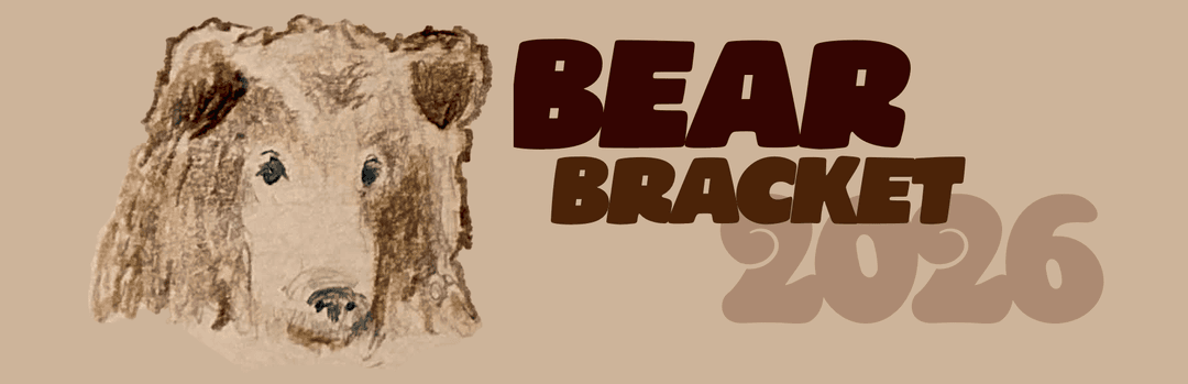 bearBracket